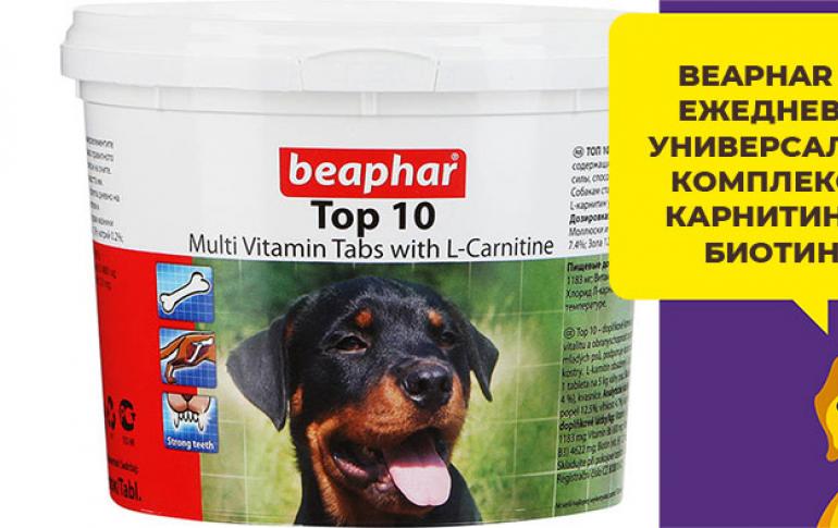 Какие выбрать витамины для собак (для шерсти)?