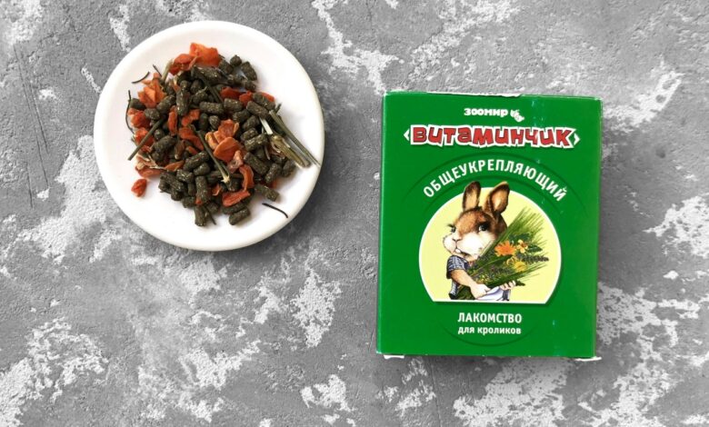 Photo of редные продукты для шиншиллы: что нельзя давать животному