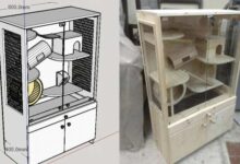 Photo of Строение клетки для шиншиллы: особенности и требования