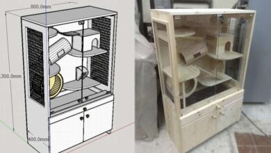 Photo of Строение клетки для шиншиллы: особенности и требования