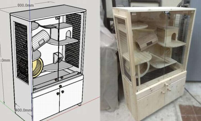 Photo of Строение клетки для шиншиллы: особенности и требования