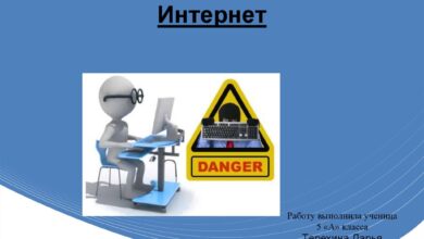 Photo of Как обеспечить шиншилле безопасное окружение: основные правила