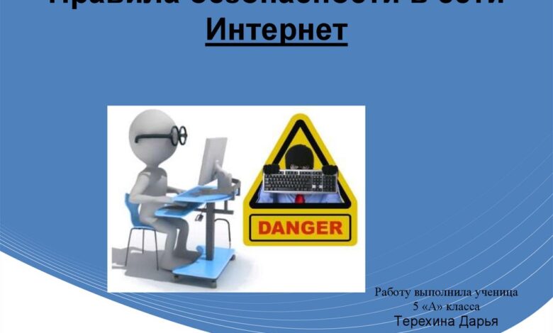 Photo of Как обеспечить шиншилле безопасное окружение: основные правила