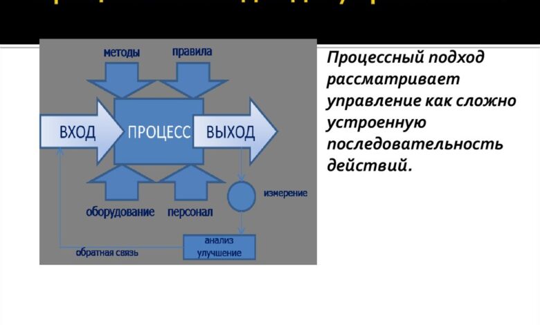 Photo of Размножение шиншилл: особенности и подходы