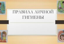 Photo of Основные правила гигиены шиншиллы: как поддерживать чистоту