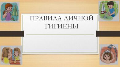 Photo of Основные правила гигиены шиншиллы: как поддерживать чистоту