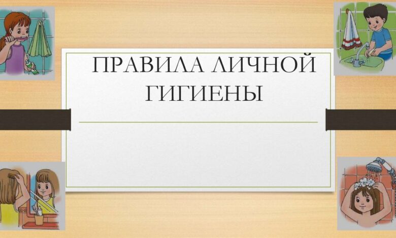 Photo of Основные правила гигиены шиншиллы: как поддерживать чистоту