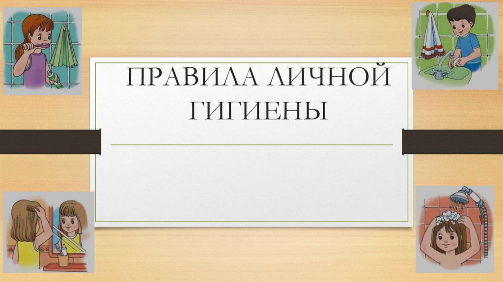 Фото 23 — Основные правила гигиены шиншиллы: как поддерживать чистоту
